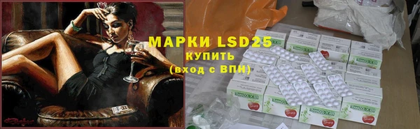 гидропоника Алзамай
