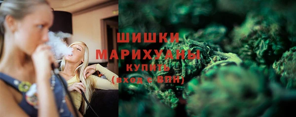 крисы Билибино